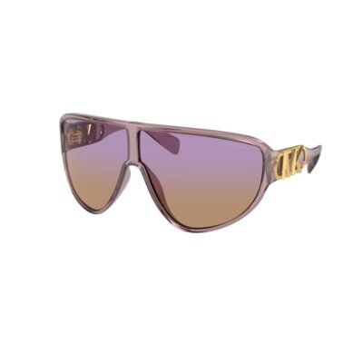 Purple Resin Sunglasses