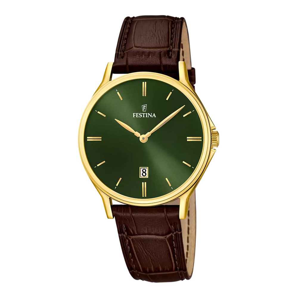Vyriškas laikrodis festina classics f16747/5